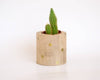 Décoration artisanale française cache-pot rond en bois fait-main avec cactus
