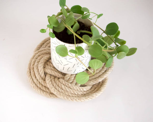 Dessous de plat artisanal utilisé sous une plante pour décoration d'intérieur