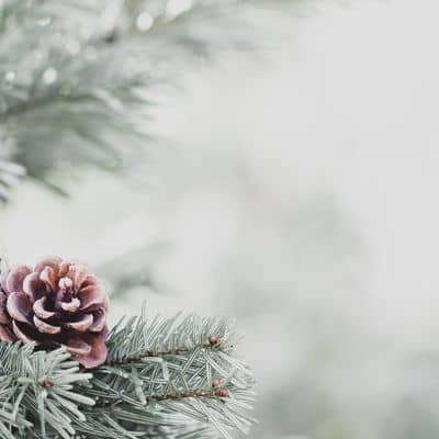 cadeau noel tendance 2022 idée sélection de noel Amécla décoration de créateurs