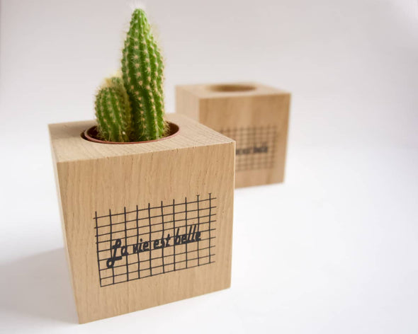 Pot en bois carré déco intérieure avec petit cactus créatrice My Cosy Home