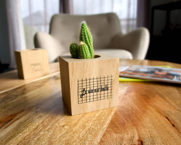 Cache-pot moderne carré en bois naturel avec cactus décoration de salon marque My Cosy Home