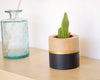 Cache-pot intérieur décoratif rond en bois fait-main noir et doré made in france par my cosy home