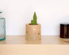 Cache-pot décoratif pour intérieur petites plantes sur étagère, rond en bois à pois dorés