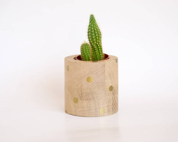Décoration artisanale française cache-pot rond en bois fait-main avec cactus