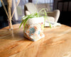 Panier en tissu cache-pot moderne original unique artisanal avec plante sur table basse
