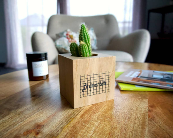 Cache-pot original artisanal en bois français La vie est belle avec cactus sur table basse décoration d'intérieur