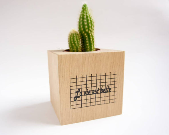 Cache-pot déco en bois artisanal avec cactus décoration d'intérieur My Cosy Home